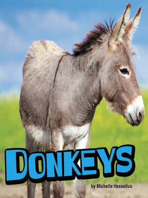 cover image of Donkeys